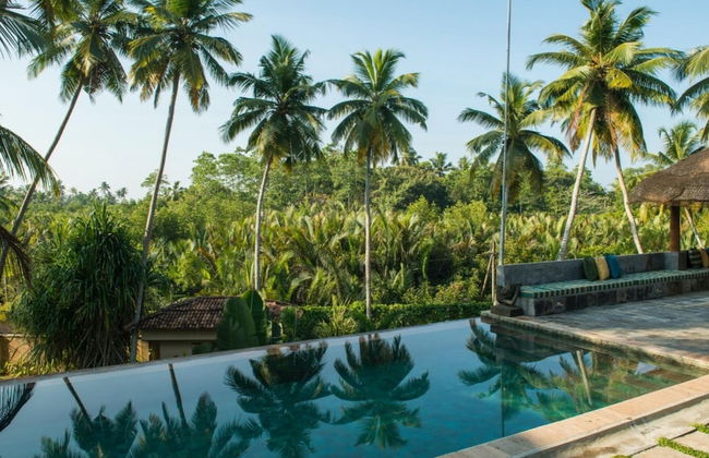 Modern Luxury 03 Bedroom Villa - Photo 8