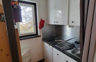 "Miramonte" appartement avec terrasse vue montagne et parking privatif sous-sol, à proximité immédiate des pistes, cœur de Vars les Claux, secteur point show avec commodités et piscine chauffée de plein air - Foto 12