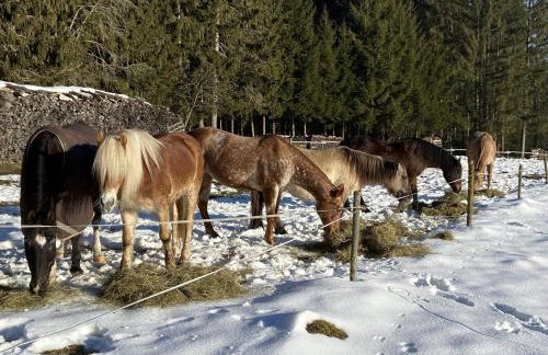 Landhaus Isolde - Foto 9