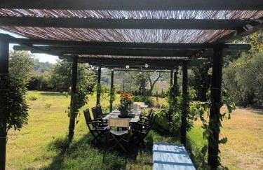 Agriturismo Poderino - Foto 50