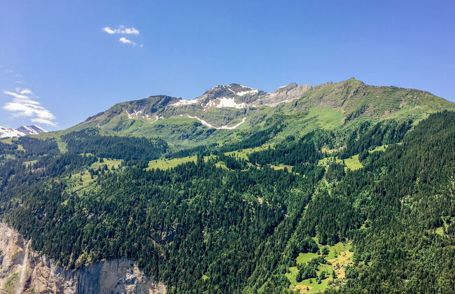 Schweizerheim Apt.5 - Foto 22