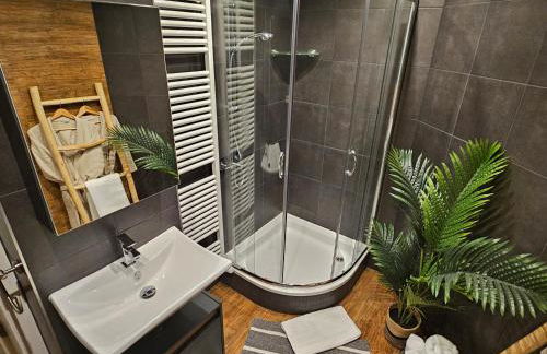 Workout Appartement bei Magdeburg - Foto 2