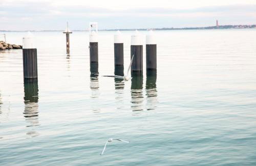 Förde - Möwe - Photo 18