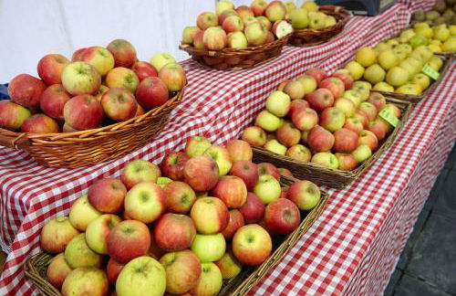 ATeRIAN GAZTETAPE II - Foto 26