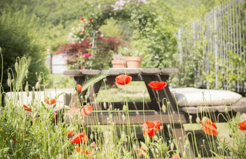 Villa Porcigliano Olive Grove - Foto 51