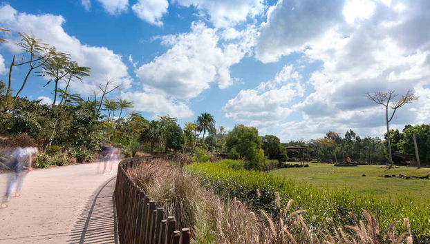 Escursione all'Australia Zoo - Foto 3