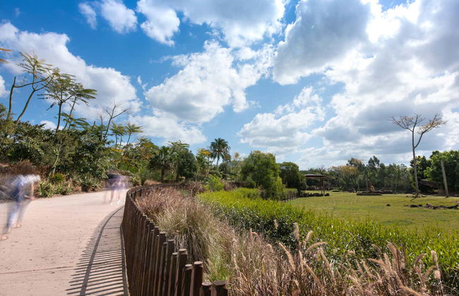 Australia Zoo Entrance Ticket - Photo 3