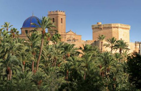 Casa Natura Elx - Foto 24