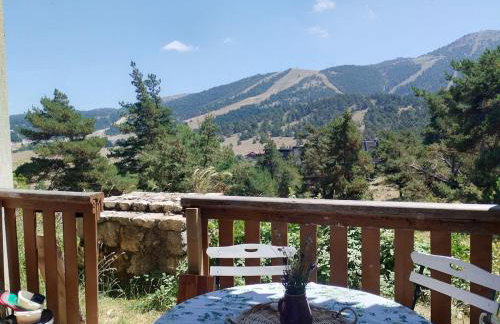 Gréolières les Neiges Studio 4 personnes - Foto 1