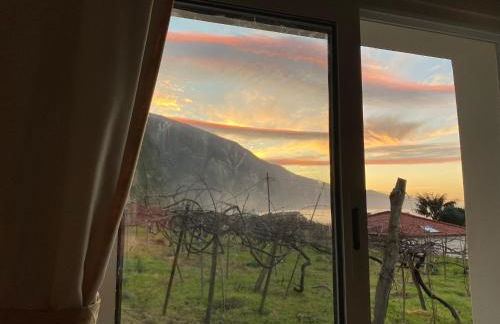 Ocean Garden, 4 units by the ocean - Foto 73