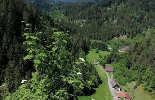 Ferienwohnung Schwarzwaldblick - Photo 22