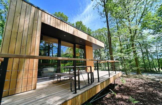 Eco Holiday Home in Viroinval in Nature - Foto 11