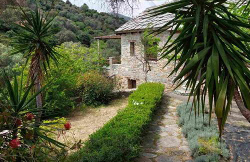 Emerald House - Foto 1