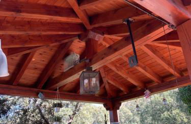 Villa con Jacuzzi exterior y Piscina cubiertos - Foto 4