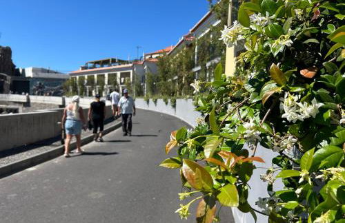 Saraiva Hills Ocean View Penthouse - Foto 13