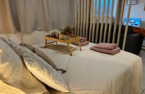 LeRelaisdOdile - Studio Cosy - Proche Metro - Parking Gratuit - Mons-en-Barœul - Foto 27