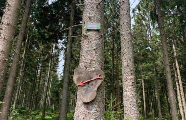 Family Apartment MiniGlück - Foto 44