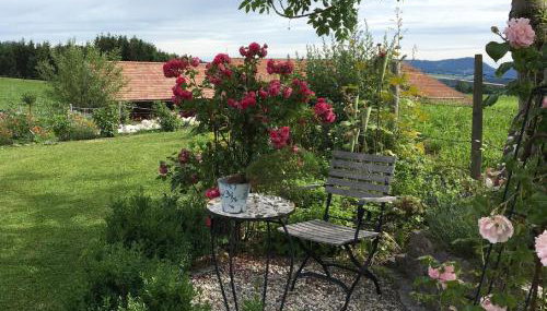 Ferienhof Am Holderbusch - Foto 2, Garden