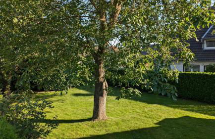 Kristall - große Maisonette Wohnung in Wegberg - Foto 23