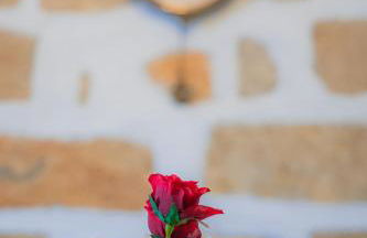 1944-Heritage House - Photo 45