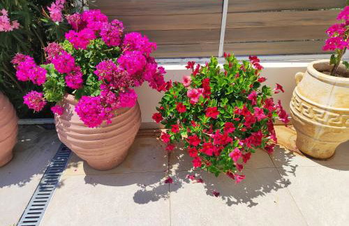 Okeanos Vine Luxury Villa - Foto 78