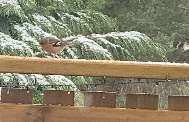 Beautiful 2 Bedroom Lodge With Stunning Views - Foto 24