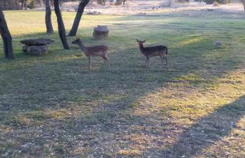 Oakridge Ranch: Pool + Hot-tub, Pickleball Court, Whiskey & Wine Room - Foto 136
