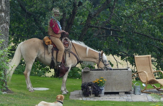 Chalet in Kollnburg Near St. Englmar Ski Area - Photo 15