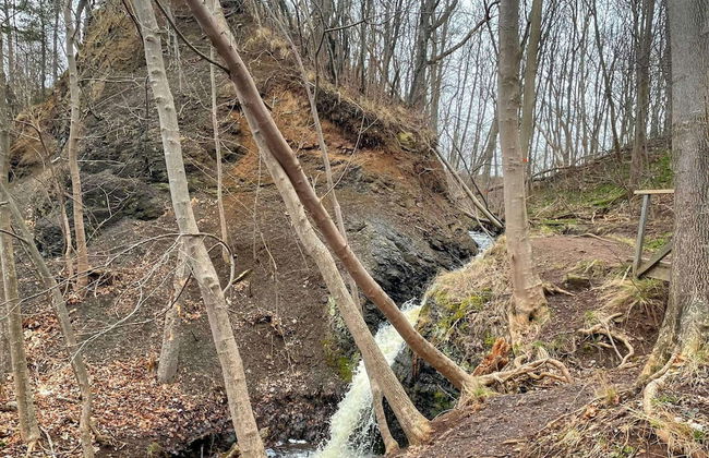 4 Person Holiday Home in Granna - Photo 6