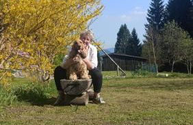 Maso Clementina - Foto 4