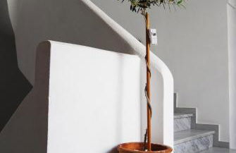 Aretousa Villas - Foto 41