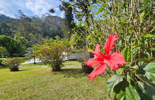 Casa Incrível em Nova Friburgo - Espaço Humedica - Foto 58