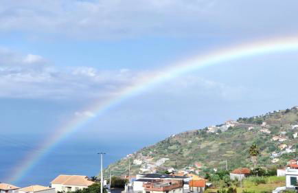 Vista Romantica Madeira - Photo 21
