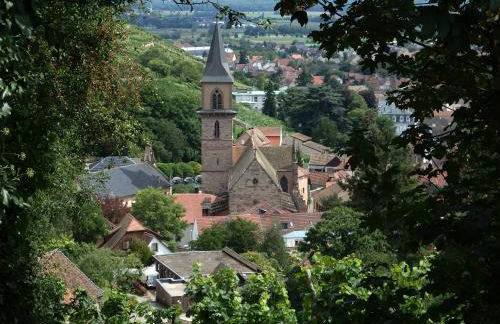 La Maison des Tanneurs - Foto 47