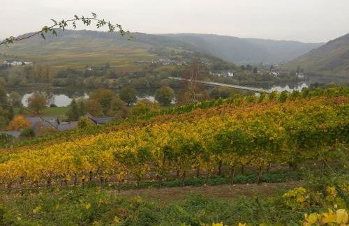 Gästehaus Lavendel an der Mosel - Foto 29