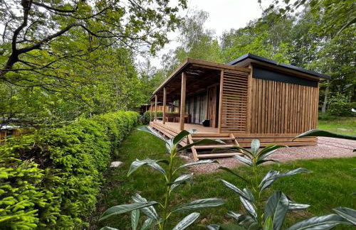 Vosges Hygge - Chalets Lodges & Spa - Foto 29