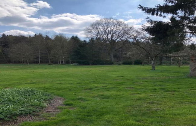 Pretty Cottage Ardennes near Valley of Lesse & Semois - Foto 34