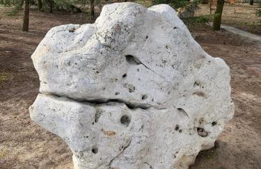 Kasztanowe Wzgórze na Jurze - Foto 5