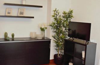 Apartamento Marquesa de Almarza - Foto 4