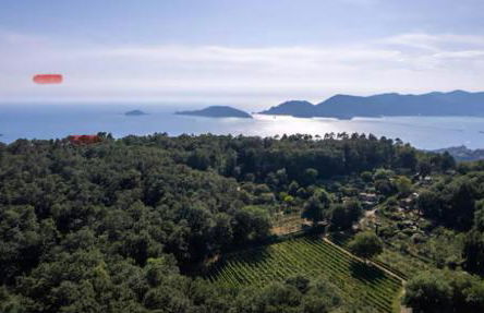 Emozione Blu - Foto 32