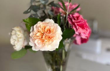 The Buttery Tan House Newland - Foto 6