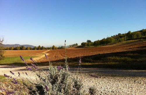 Corte Monticello - Foto 30