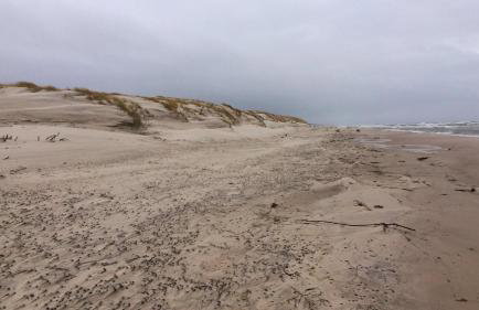 Apartamenty Pod Jesionem - Foto 10