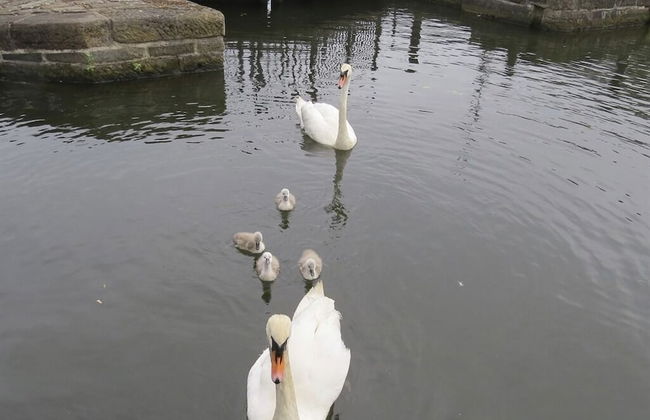 Houseboat Hotels - Foto 32