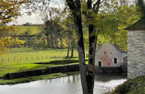 Charmante maison bourguignonne avec grand jardin et parking - Foto 31