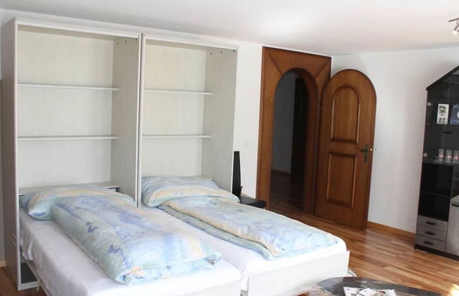 Silberdistel - Foto 11