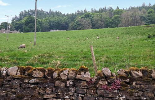 Railway Cottage - Photo 13