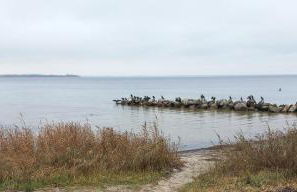 1a Ferienwohnung Poel - Foto 28