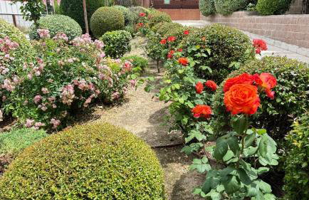 Barajas Express Stay, IFEMA , Metropolitano - Photo 12