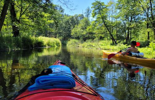 PAKLADA Domek całoroczny 1 - Foto 17